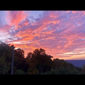 Meet your Posher, Lucy